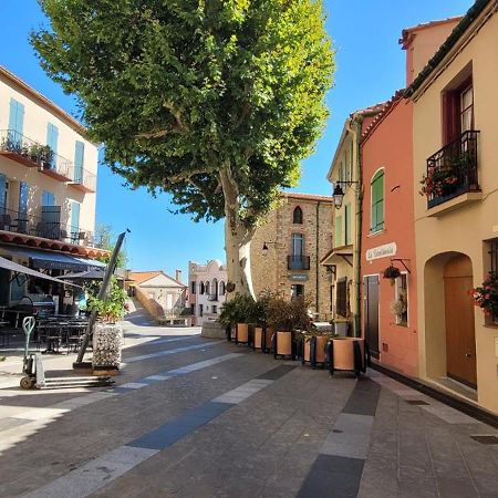 Chambre Climatisee Entre Mer Et Montagne, Avec Sdb Et Wc Privatifs Laroque-des-Albères Εξωτερικό φωτογραφία