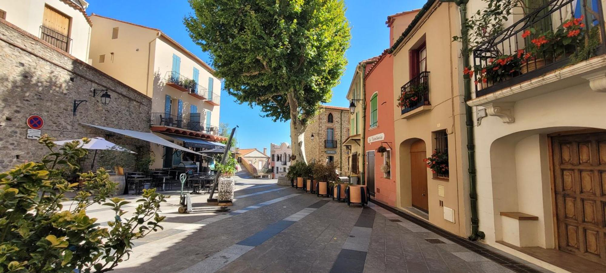 Chambre Climatisee Entre Mer Et Montagne, Avec Sdb Et Wc Privatifs Laroque-des-Albères Εξωτερικό φωτογραφία